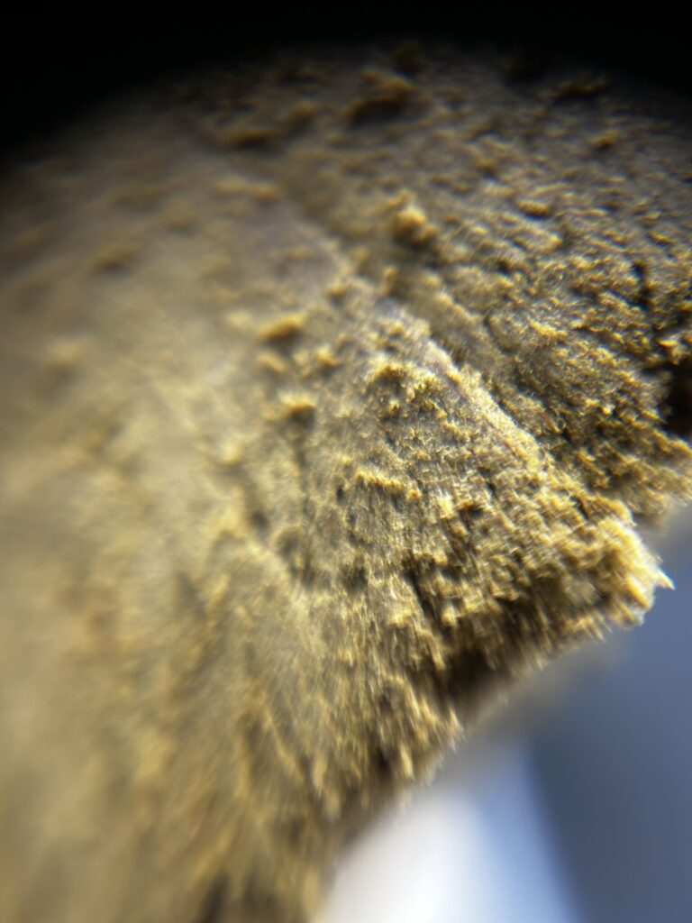 pollen v1 macro