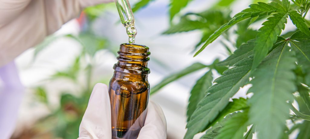 CBD et douleur chronique : ce que vous devez savoir CBD et douleur chronique : ce que vous devez savoir